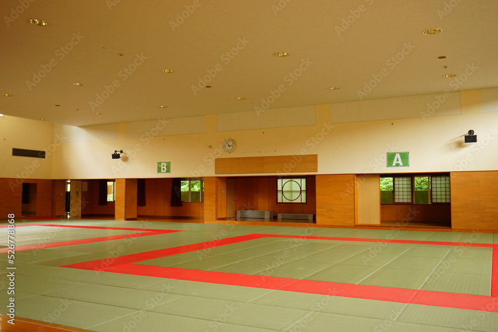 Japanese Judo Hall - 日本 体育館 柔道 道場