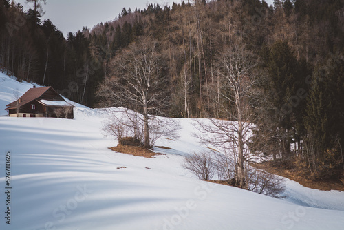 Landschaft / Frühjahr © Petra Fischer
