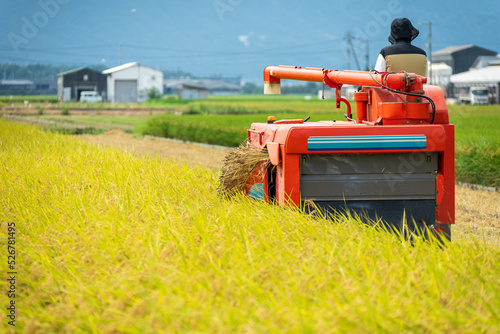 コンバインでの稲刈り風景