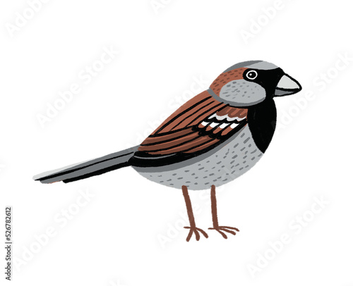 Sparrow Bird, PNG