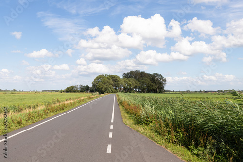 Fotografie, Obraz Country road through the flat Dutch polder landscape.