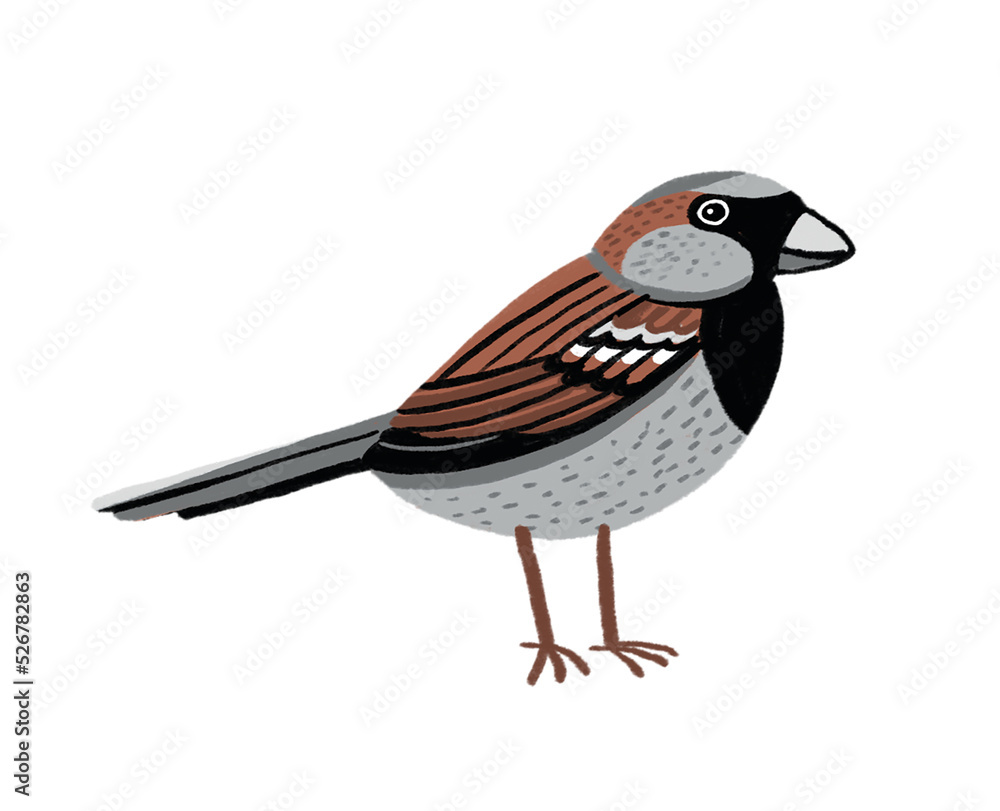 Obraz premium Sparrow Bird, JPEG