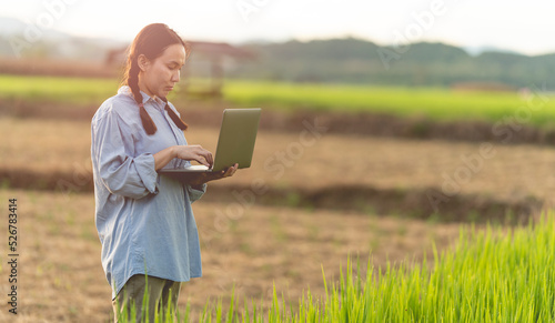 Asian woman farmer using laptop to store farm data In the evening with warm light. Agricultural technology concept. Organic agriculture.