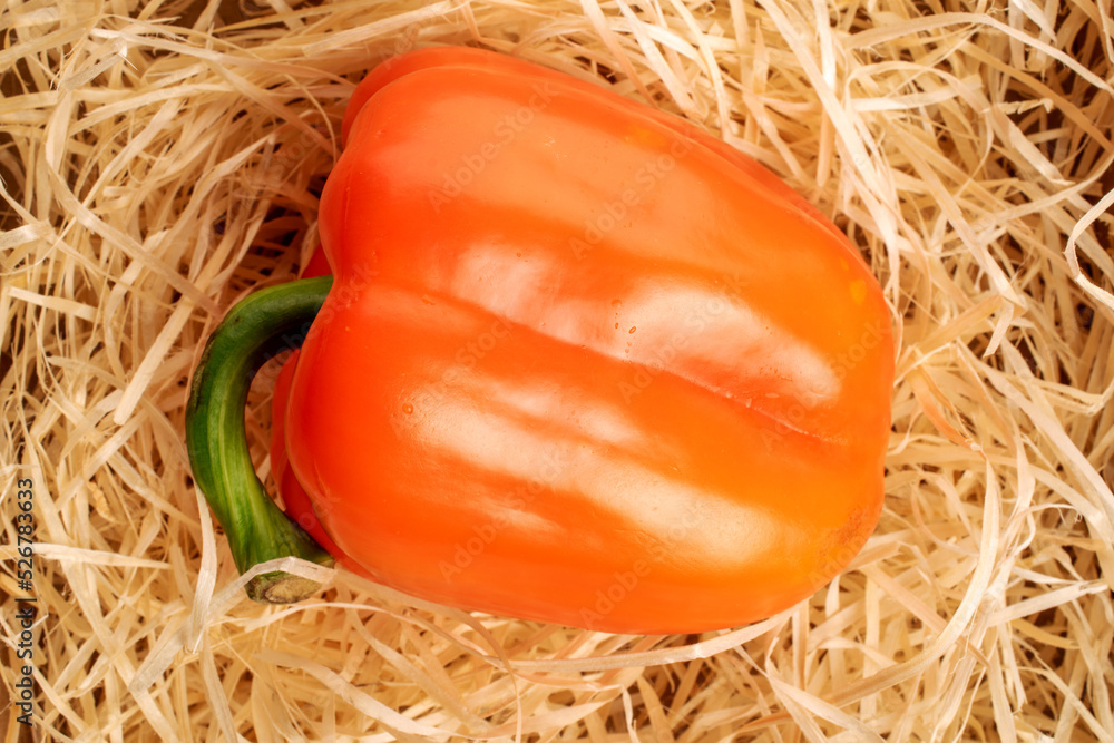 One whole organic fresh juicy delicious bell peppers, close-up, on light wood shavings, top view. One whole organic fresh juicy delicious bell peppers, close-up, on light wood shavings, top view.