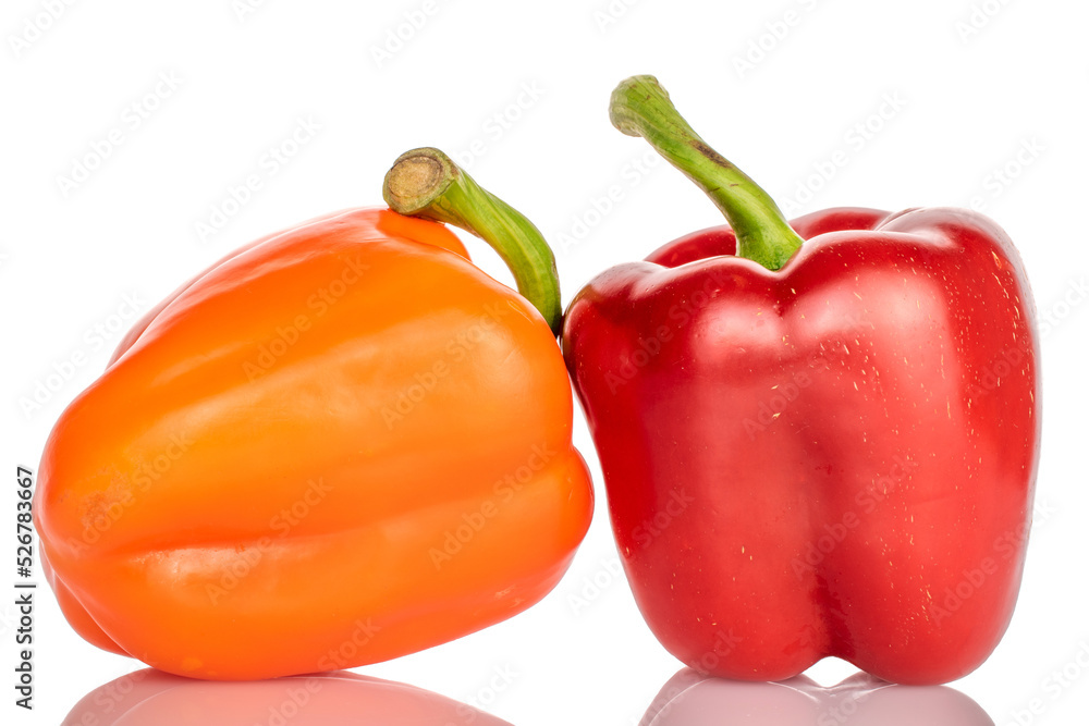 Two whole organic fresh juicy tasty bell peppers, close-up, on a white background. Two whole organic fresh juicy tasty bell peppers, close-up, on a white background.