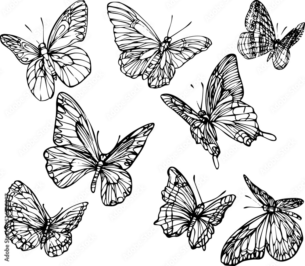 Set of hand drawn black and white butterflies. Black and white vector