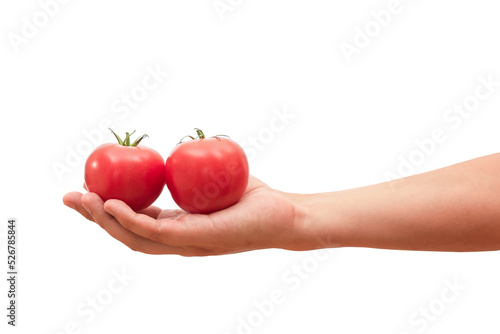 Red tomatoes in human hand isolated on white background. The concept of cooking