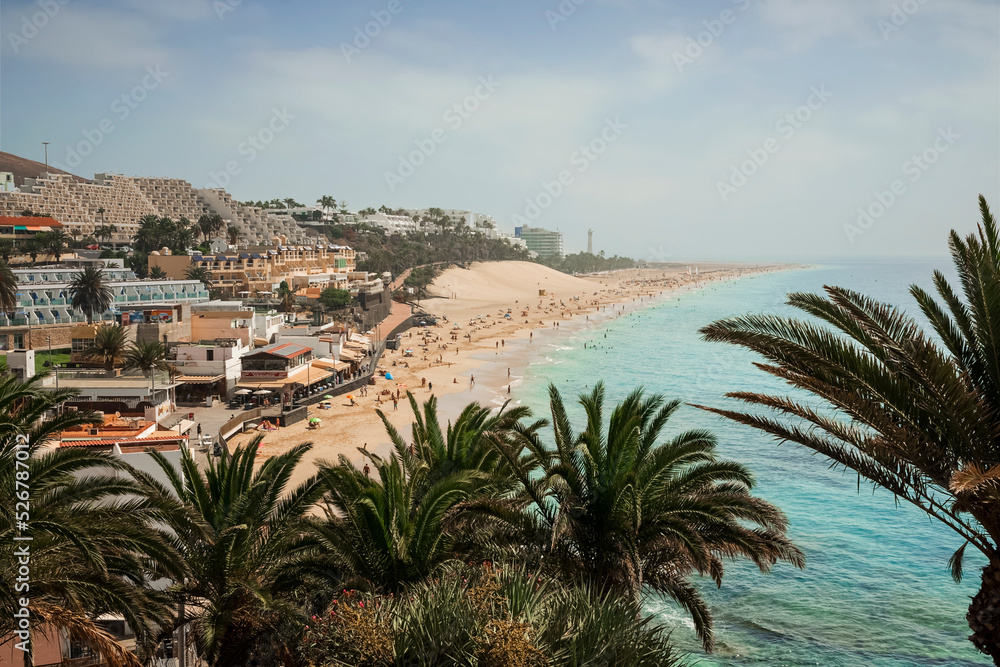 The coast of Morro Jable, on the island of Fuerteventura, with its Turquoise sea and the inhabited center. The panorama is framed by very tall palm trees.