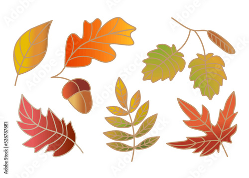 set of vector autumn leaves with gradient in illustrator