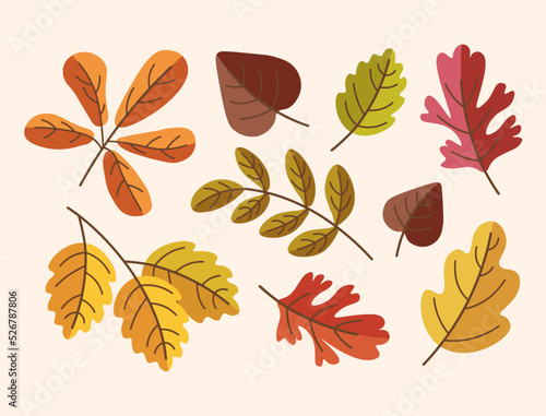set of vector colorful autumn leaves and illustration