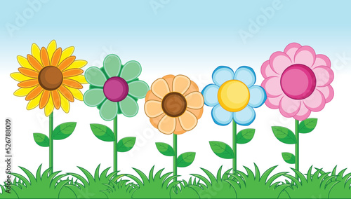Different types of flower in the garden  colorful flower on sky background
