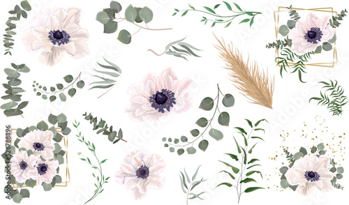 Vector grass and flower set. Eucalyptus, different plants and leaves, dry wood. White anemones, branches with flowers, compositions with gold frames  © Alena