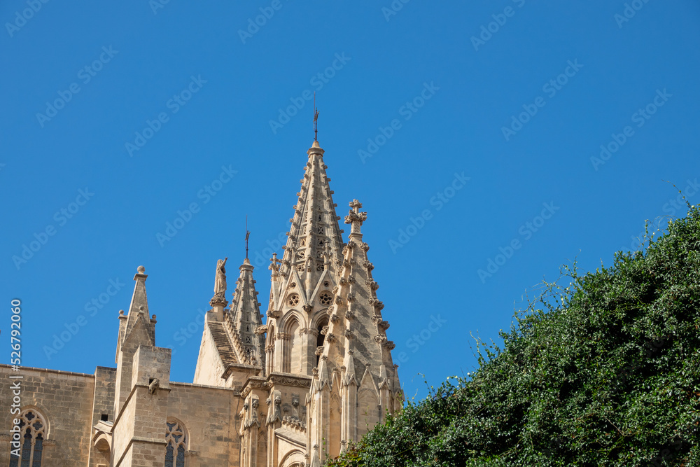 Exterior view of the cathedral of Palma de Mallorca (Spain) on a summer morning