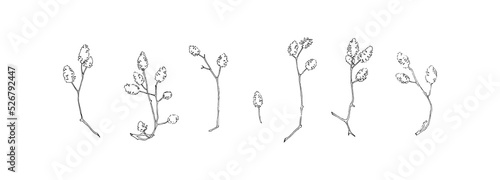 Fotografía Hand drawn plant collection