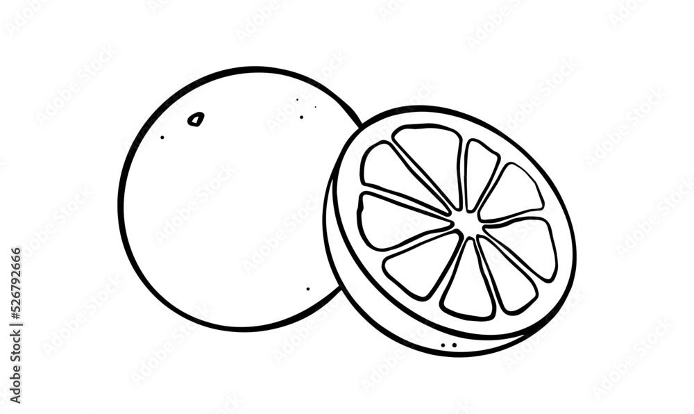 Grapefruit - outline Grapefruit - outline