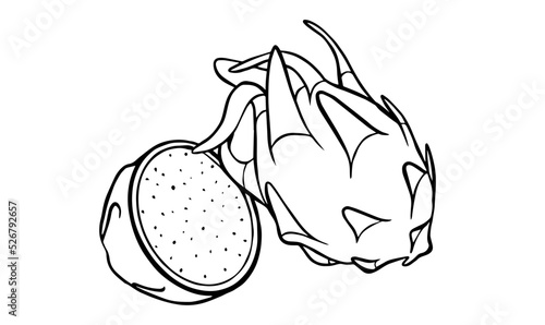 Dragon fruit - outline