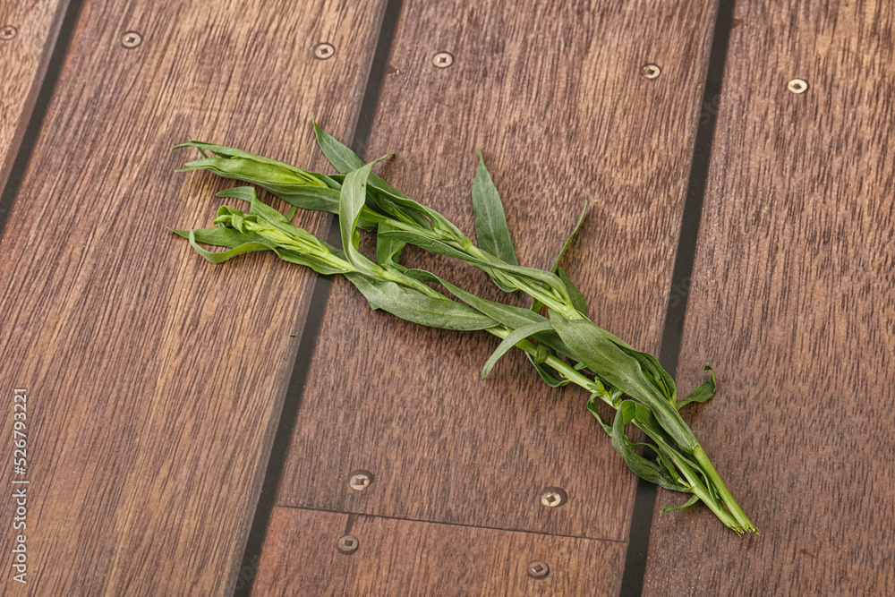Green tarragon herb spice for cooking Green tarragon herb spice for cooking