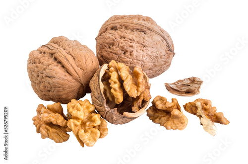 walnut and a cracked walnut