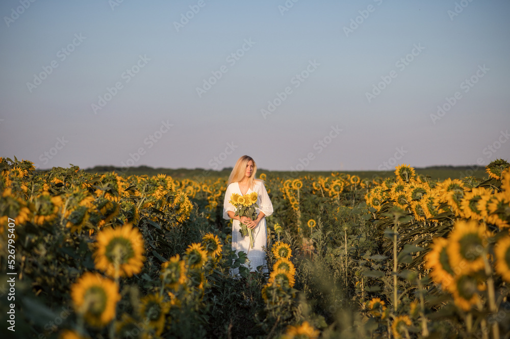 Fototapeta premium Summer evening. Girl in a field with sunflowers.