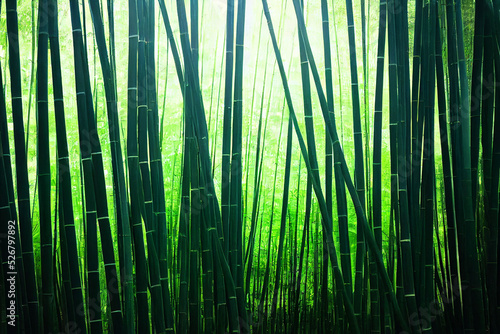 The Bamboo wall background  3D illustration.