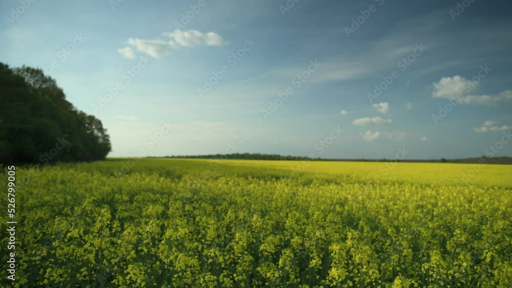 Breathtaking landscape of a field.Time lapse.
Breathtaking landscape of a field.Time lapse.