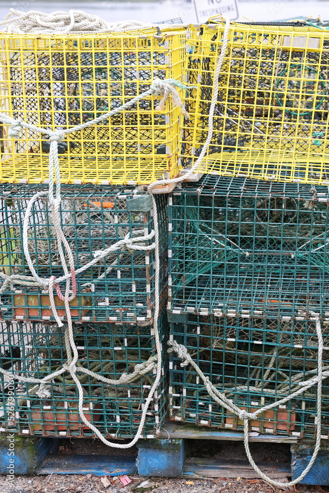 Obraz premium crab traps