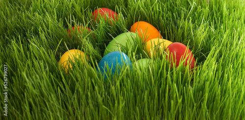 self-dyed Easter eggs in ta...