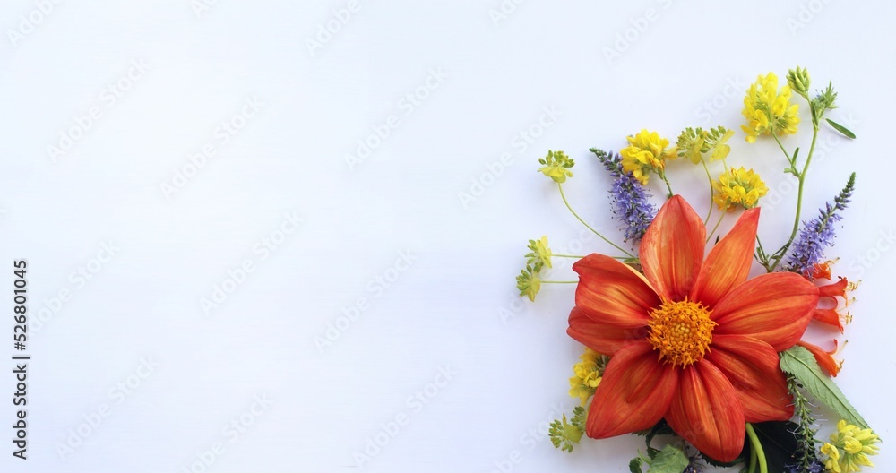A bright floral arrangement. Orange and red dahlias in a summer holiday bouquet. Background for a greeting card.