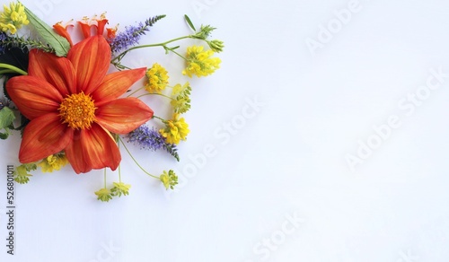 A bright floral arrangement. Orange and red dahlias in a summer holiday bouquet. Background for a greeting card.