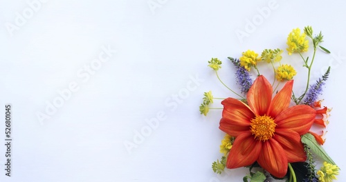 A bright floral arrangement. Orange and red dahlias in a summer holiday bouquet. Background for a greeting card.