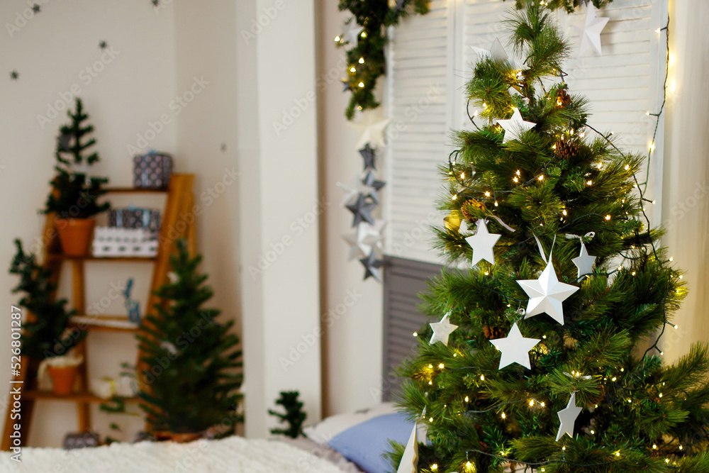 Christmas tree stands in room decorated for holiday. New Year and Christmas background