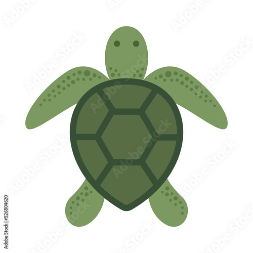 sea turtle icon flat vector illustration