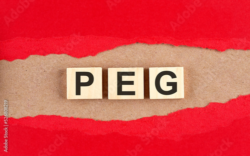 PEG word on wooden cubes on red torn paper , financial concept background