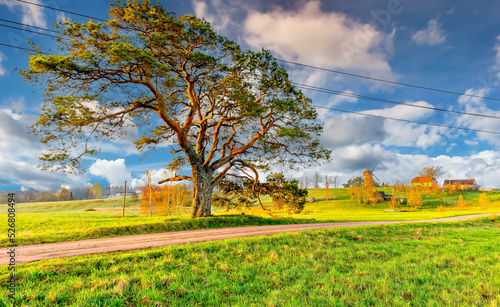 Countryside landscape with agricultural field, old windmill, electric power l...