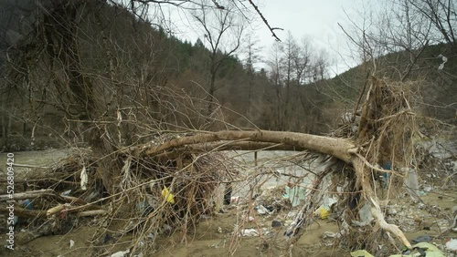 Plastic bags tangled in the branches of a tree on the river bank. Environmental pollution with garbage.
