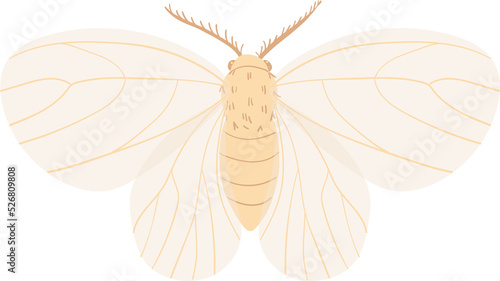 Magic night insect, butterflie, moth, beetle are flying