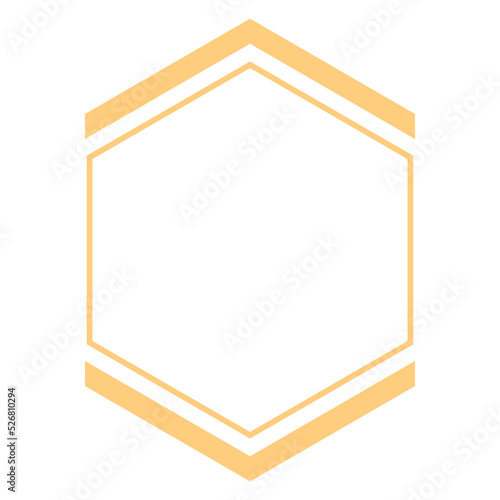 infographic hexagon text box
