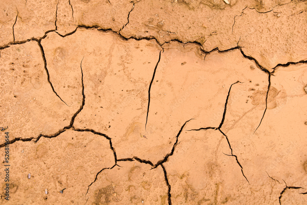 Fototapeta premium Cracked Clay