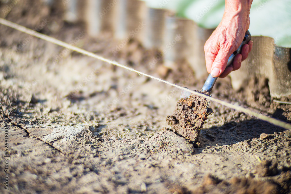 Human hands prepare the soil for planting crops in the garden. Cultivated land close up. Gardening concept. Agriculture plants growing in bed row Human hands prepare the soil for planting crops in the garden. Cultivated land close up. Gardening concept. Agriculture plants growing in bed row