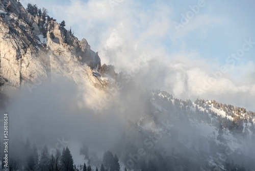Photography Beautiful view of mountains in Utah covered in conifers and snow under clouds, U
