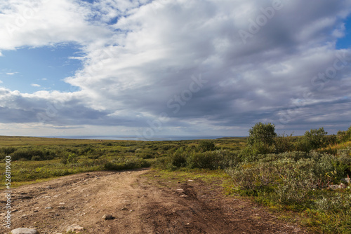 Dirt road in the fields  going to the sea in the distance.