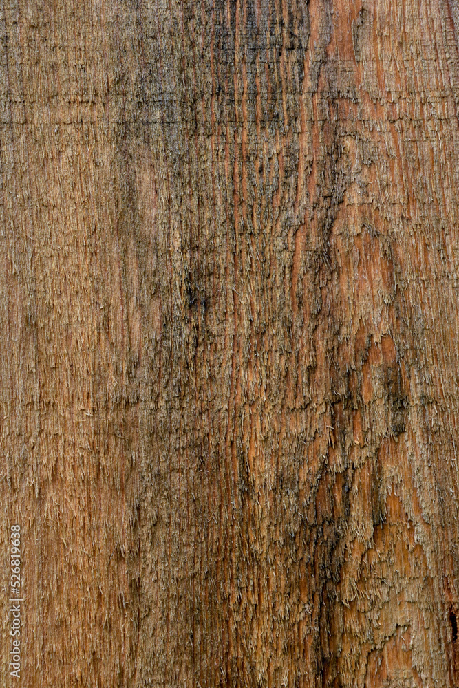 Fototapeta premium New Wood Grain 2