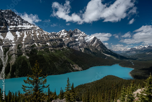 Landscape of lake Peyto with wonderful turquoise color