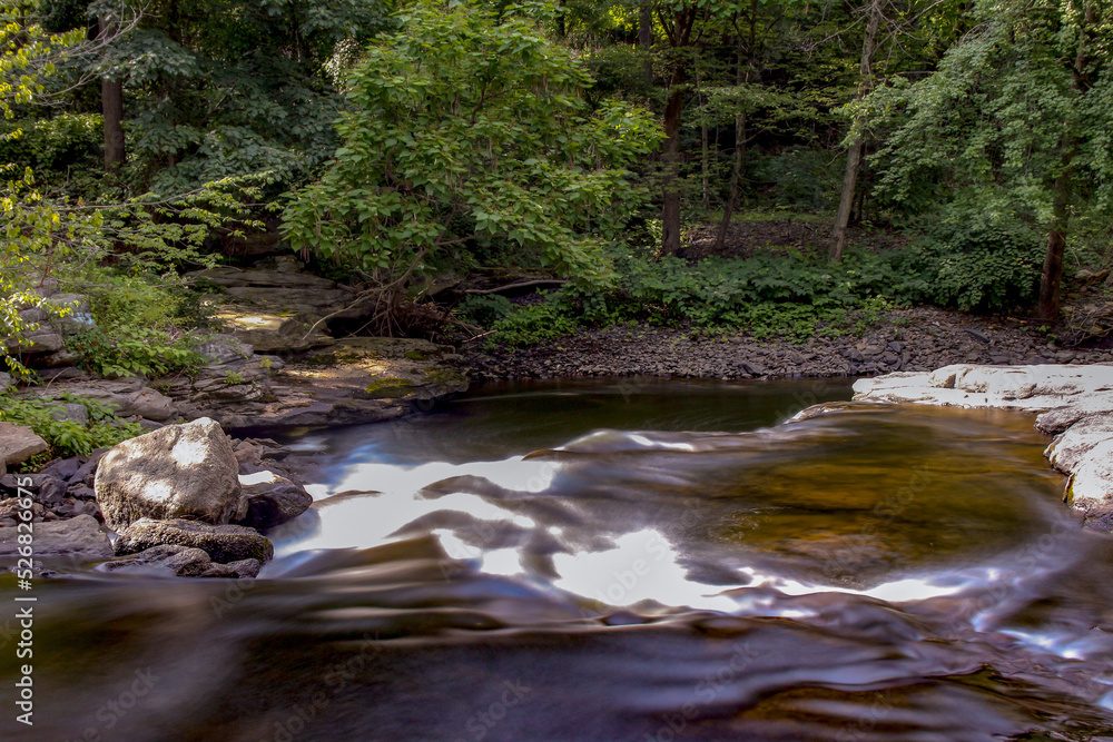 river in the forest river in the forest