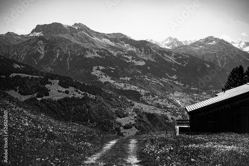 Wallpaper Mural A cabin in the alps in black and white Torontodigital.ca