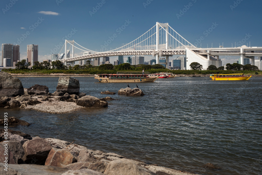 Naklejka premium Tokyo Bay and Rainbow Bridge panoramic view 