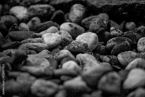small rocks laying on the ground in black and white