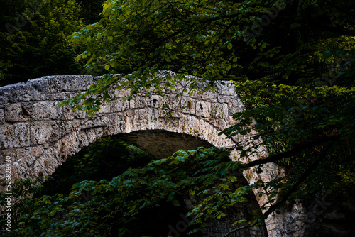 An old bridge in nature leading over a river in the french part of switzerland photo