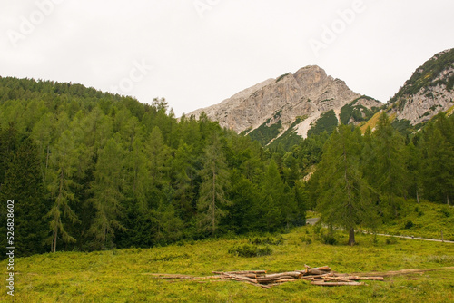The Alpine landscape near Prisank in the Julian Alps, north west Slovenia 
