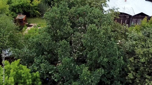Aerial view of a green bushes and trees and a building behind. Stock footage. Summer countryside landscape with a wooden house. photo